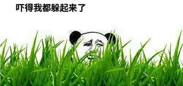 当心!除了收玉米,还有好多事儿也违法