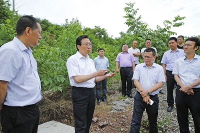 王菲深入旺苍县督查防汛及地质灾害防治工作