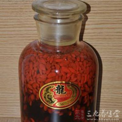 十里仙途茶花漫