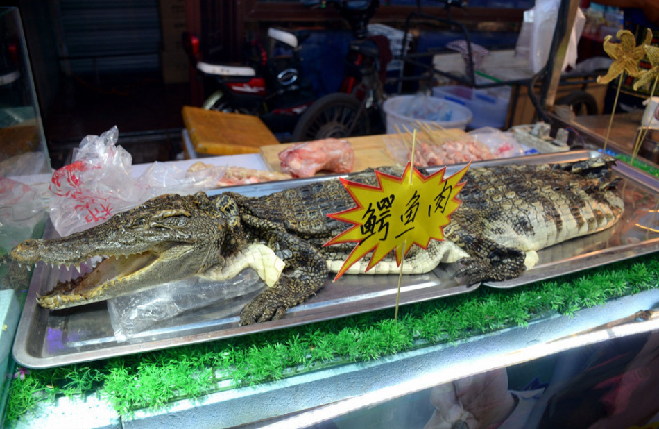 沈阳现鳄鱼肉烤串20元一串引围观